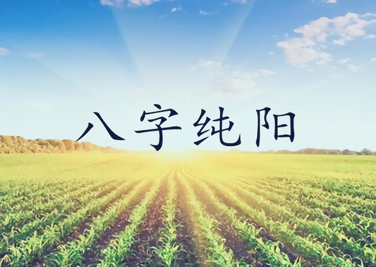 八字纯阳是什么意思